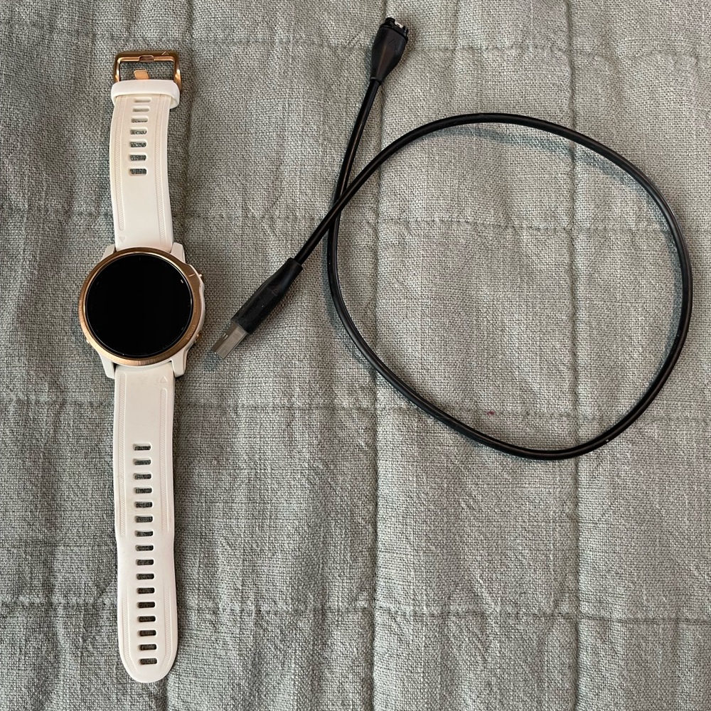 Garmin Fenix 6s pro edition
